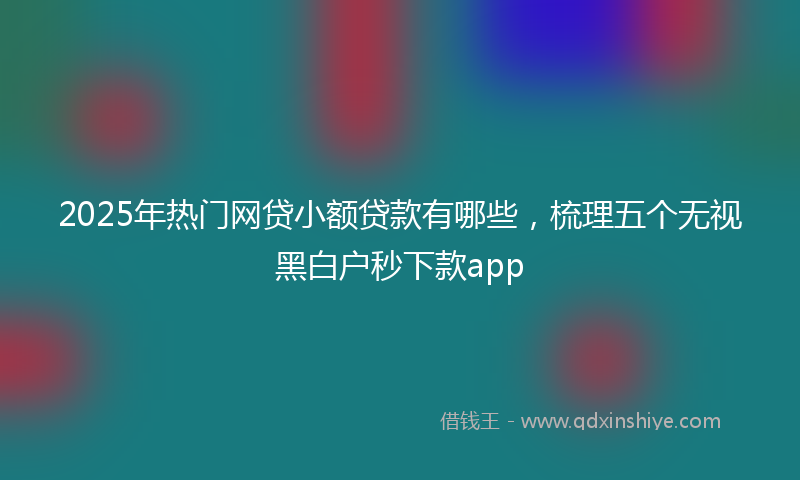 2025年热门网贷小额贷款有哪些，梳理五个无视黑白户秒下款app