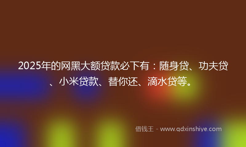 2025年的网黑大额贷款必下有：随身贷、功夫贷、小米贷款、替你还、滴水贷等。