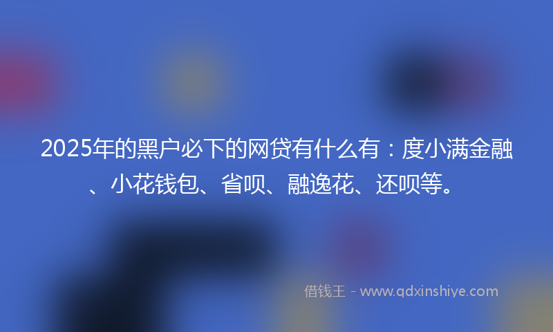 2025年的黑户必下的网贷有什么有：度小满金融、小花钱包、省呗、融逸花、还呗等。