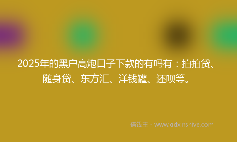 2025年的黑户高炮口子下款的有吗有：拍拍贷、随身贷、东方汇、洋钱罐、还呗等。