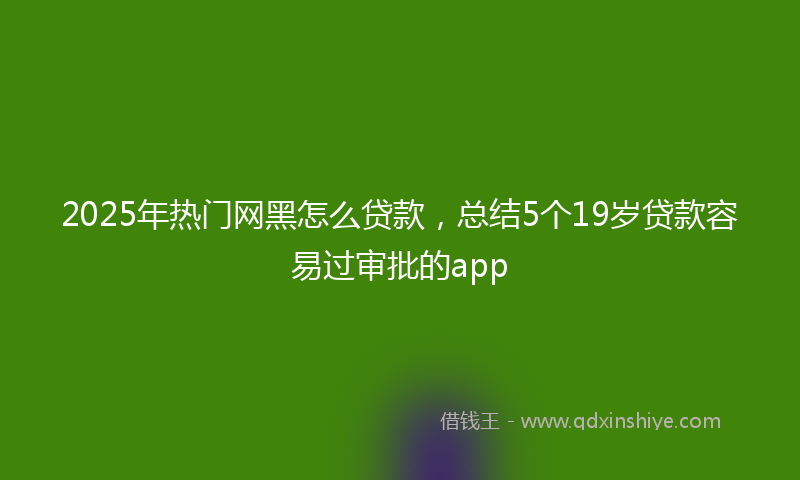 2025年热门网黑怎么贷款，总结5个19岁贷款容易过审批的app