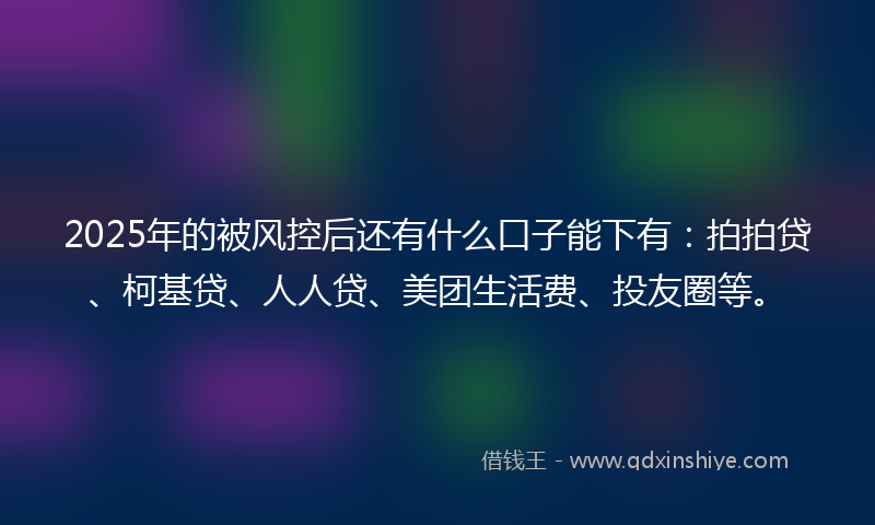 2025年的被风控后还有什么口子能下有：拍拍贷、柯基贷、人人贷、美团生活费、投友圈等。