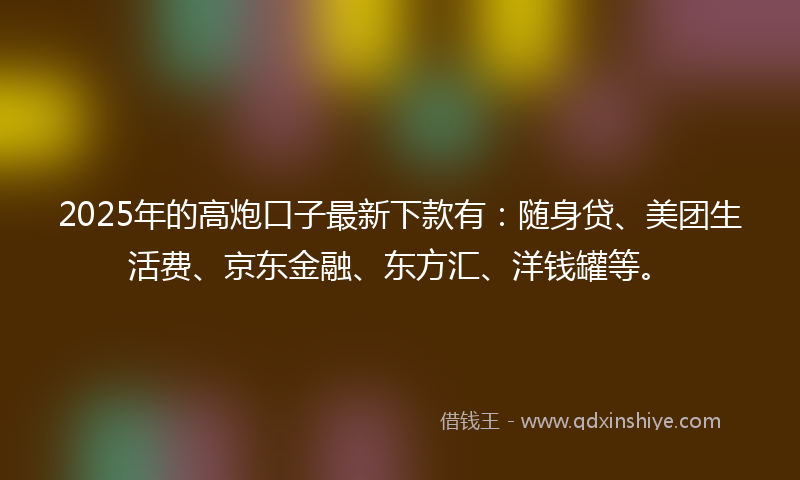 2025年的高炮口子最新下款有：随身贷、美团生活费、京东金融、东方汇、洋钱罐等。