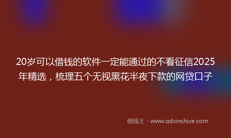 20岁可以借钱的软件一定能通过的不看征信2025年精选，梳理五个无视黑花半夜下款的网贷口子