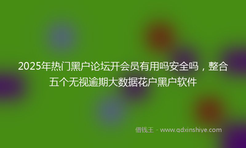 2025年热门黑户论坛开会员有用吗安全吗，整合五个无视逾期大数据花户黑户软件
