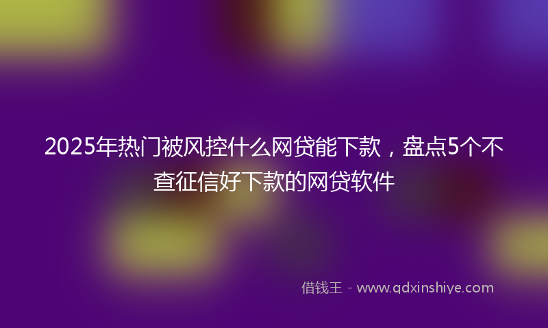 2025年热门被风控什么网贷能下款，盘点5个不查征信好下款的网贷软件