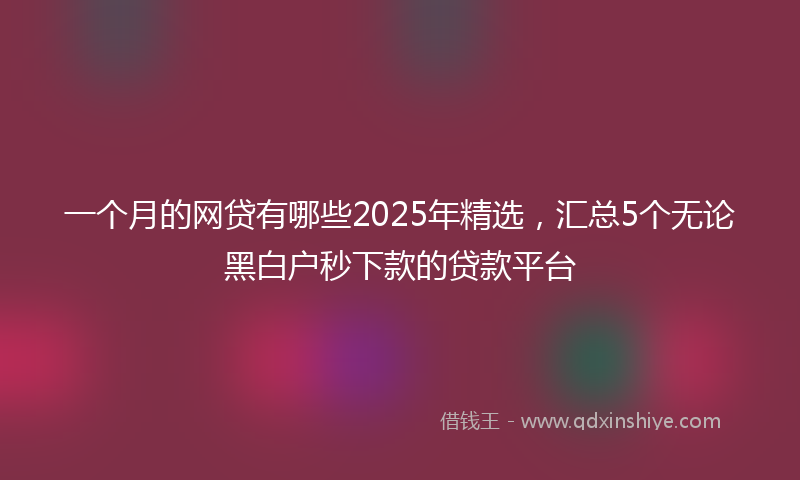 一个月的网贷有哪些2025年精选，汇总5个无论黑白户秒下款的贷款平台