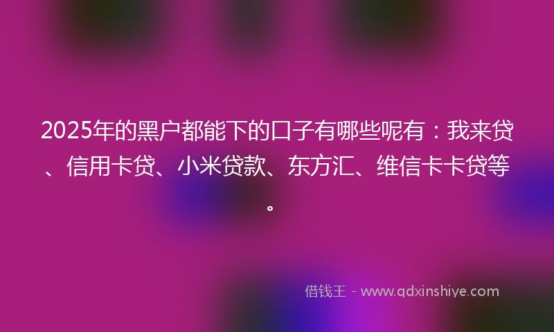 2025年的黑户都能下的口子有哪些呢有:我来贷、信用卡贷、小米贷款、东方汇、维信卡卡贷等。