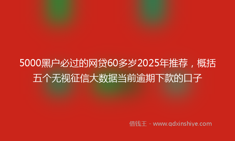 5000黑户必过的网贷60多岁2025年推荐，概括五个无视征信大数据当前逾期下款的口子