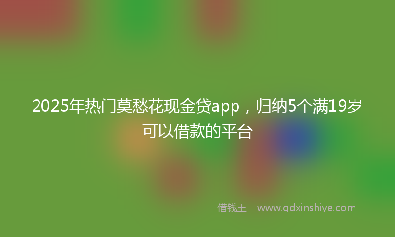 2025年热门莫愁花现金贷app，归纳5个满19岁可以借款的平台
