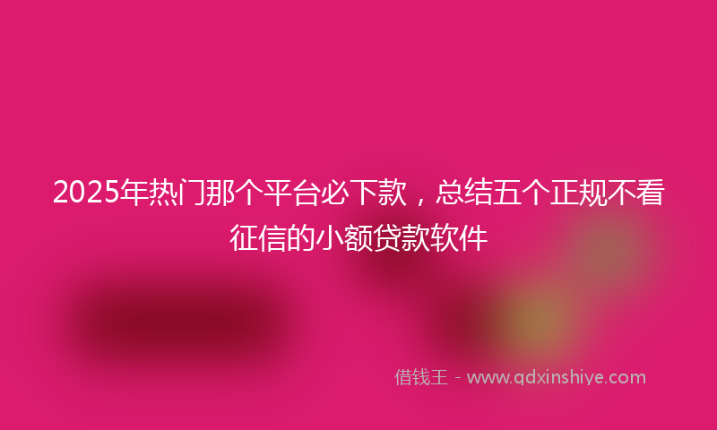2025年热门那个平台必下款，总结五个正规不看征信的小额贷款软件