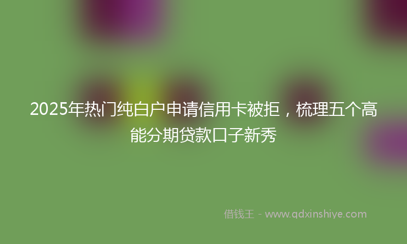 2025年热门纯白户申请信用卡被拒，梳理五个高能分期贷款口子新秀