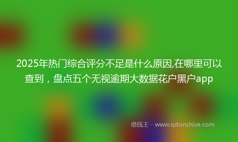 2025年热门综合评分不足是什么原因,在哪里可以查到，盘点五个无视逾期大数据花户黑户app