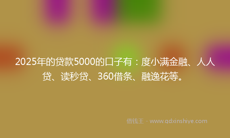 2025年的贷款5000的口子有：度小满金融、人人贷、读秒贷、360借条、融逸花等。