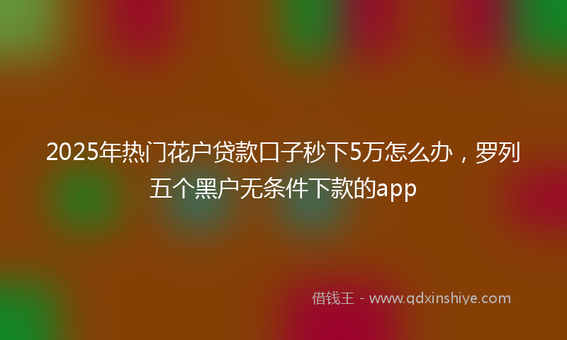 2025年热门花户贷款口子秒下5万怎么办，罗列五个黑户无条件下款的app
