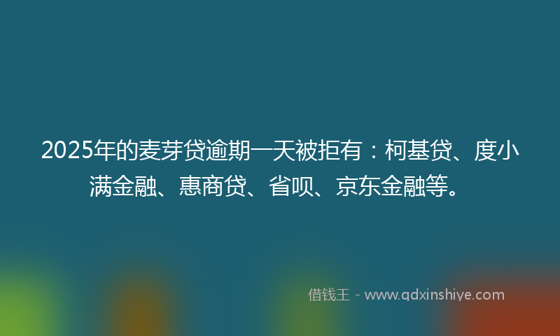 2025年的麦芽贷逾期一天被拒有：柯基贷、度小满金融、惠商贷、省呗、京东金融等。