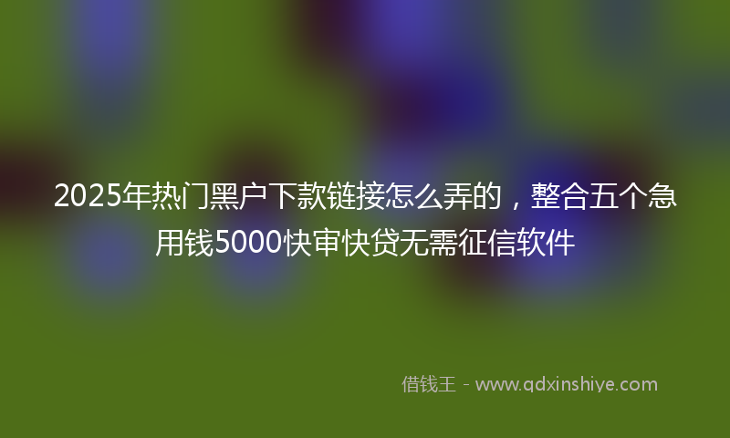 2025年热门黑户下款链接怎么弄的,整合五个急用钱5000快审快贷无需征信软件