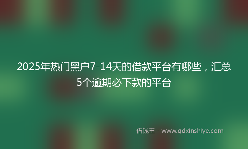 2025年热门黑户7-14天的借款平台有哪些，汇总5个逾期必下款的平台