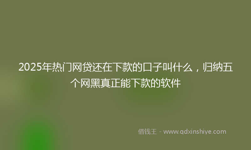 2025年热门网贷还在下款的口子叫什么，归纳五个网黑真正能下款的软件