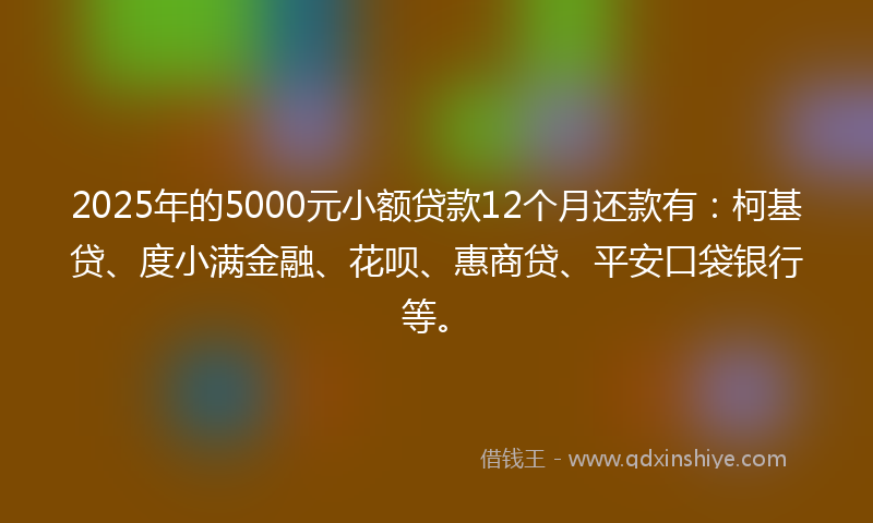 2025年的5000元小额贷款12个月还款有：柯基贷、度小满金融、花呗、惠商贷、平安口袋银行等。