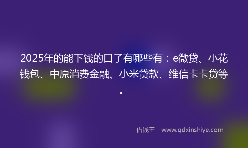 2025年的能下钱的口子有哪些有：e微贷、小花钱包、中原消费金融、小米贷款、维信卡卡贷等。