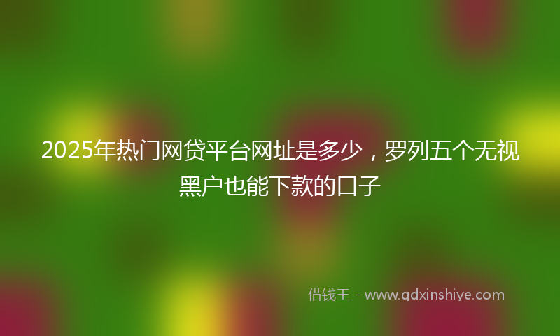2025年热门网贷平台网址是多少，罗列五个无视黑户也能下款的口子