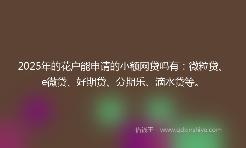 2025年的花户能申请的小额网贷吗有:微粒贷、e微贷、好期贷、分期乐、滴水贷等。