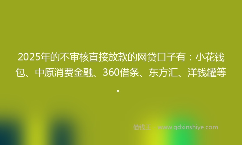 2025年的不审核直接放款的网贷口子有：小花钱包、中原消费金融、360借条、东方汇、洋钱罐等。