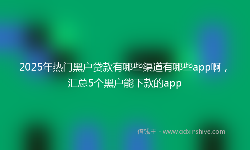 2025年热门黑户贷款有哪些渠道有哪些app啊，汇总5个黑户能下款的app