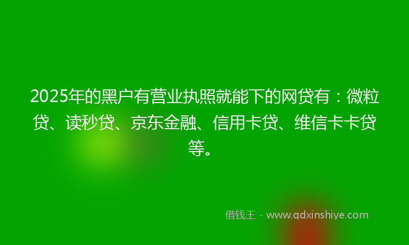 2025年的黑户有营业执照就能下的网贷有：微粒贷、读秒贷、京东金融、信用卡贷、维信卡卡贷等。