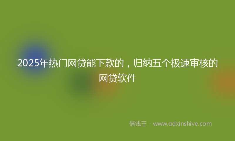 2025年热门网贷能下款的，归纳五个极速审核的网贷软件