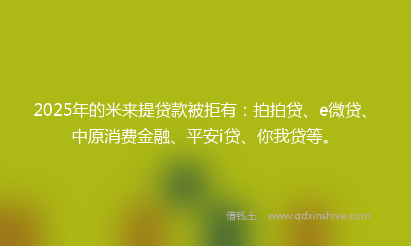 2025年的米来提贷款被拒有：拍拍贷、e微贷、中原消费金融、平安i贷、你我贷等。