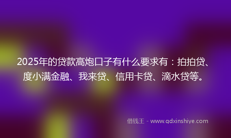 2025年的贷款高炮口子有什么要求有：拍拍贷、度小满金融、我来贷、信用卡贷、滴水贷等。