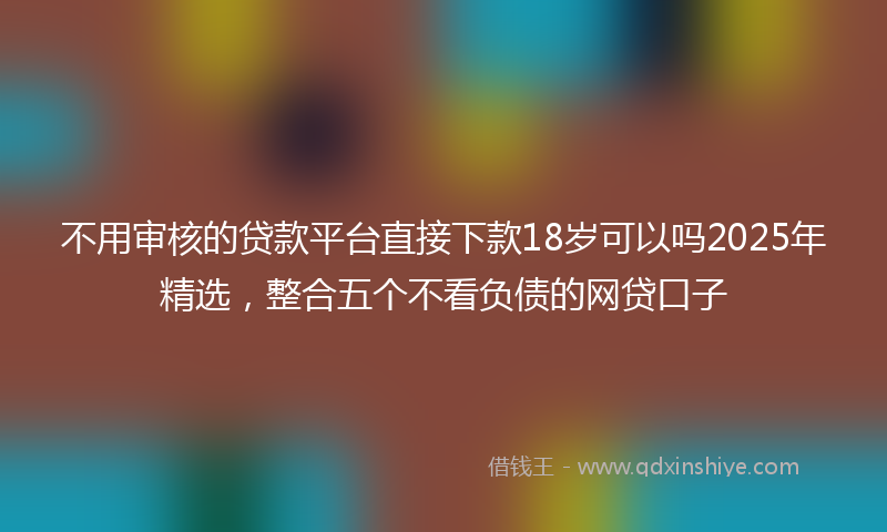 不用审核的贷款平台直接下款18岁可以吗2025年精选，整合五个不看负债的网贷口子