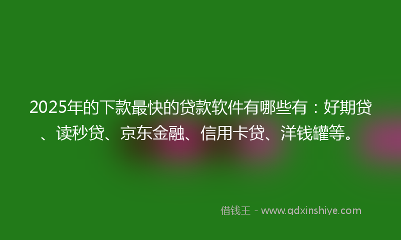 2025年的下款最快的贷款软件有哪些有：好期贷、读秒贷、京东金融、信用卡贷、洋钱罐等。