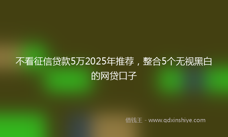不看征信贷款5万2025年推荐，整合5个无视黑白的网贷口子