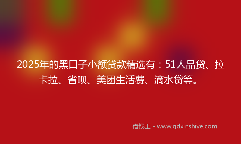 2025年的黑口子小额贷款精选有：51人品贷、拉卡拉、省呗、美团生活费、滴水贷等。