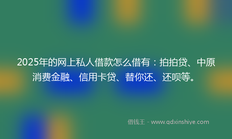 2025年的网上私人借款怎么借有：拍拍贷、中原消费金融、信用卡贷、替你还、还呗等。