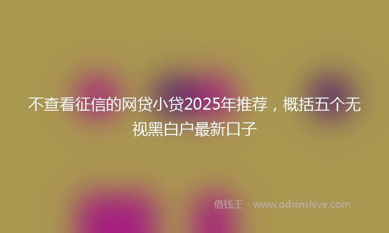 不查看征信的网贷小贷2025年推荐，概括五个无视黑白户最新口子