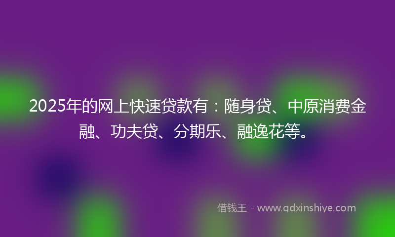 2025年的网上快速贷款有：随身贷、中原消费金融、功夫贷、分期乐、融逸花等。
