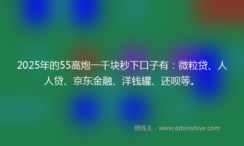 2025年的55高炮一千块秒下口子有：微粒贷、人人贷、京东金融、洋钱罐、还呗等。