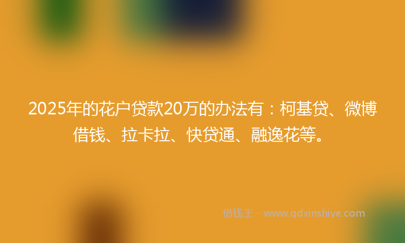 2025年的花户贷款20万的办法有：柯基贷、微博借钱、拉卡拉、快贷通、融逸花等。
