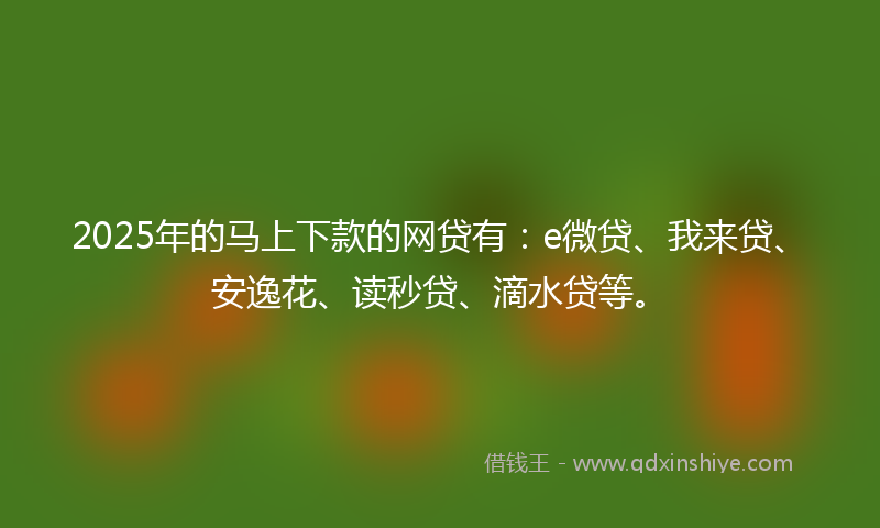 2025年的马上下款的网贷有：e微贷、我来贷、安逸花、读秒贷、滴水贷等。