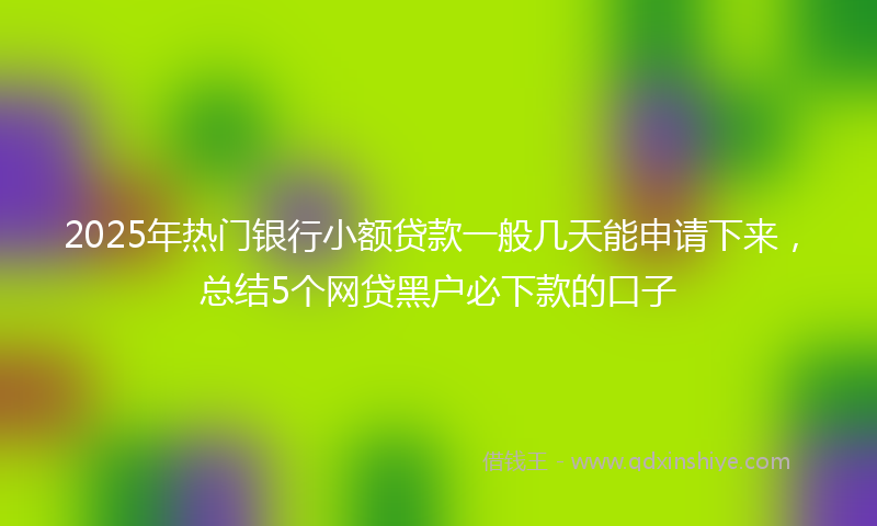 2025年热门银行小额贷款一般几天能申请下来,总结5个网贷黑户必下款的口子