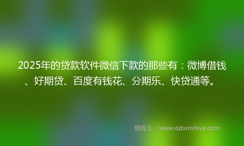 2025年的贷款软件微信下款的那些有：微博借钱、好期贷、百度有钱花、分期乐、快贷通等。