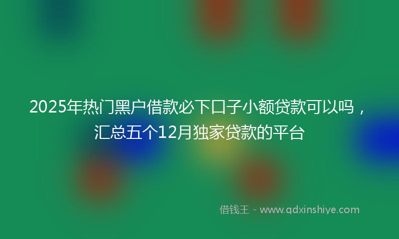 2025年热门黑户借款必下口子小额贷款可以吗，汇总五个12月独家贷款的平台