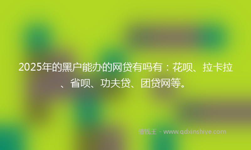 2025年的黑户能办的网贷有吗有：花呗、拉卡拉、省呗、功夫贷、团贷网等。