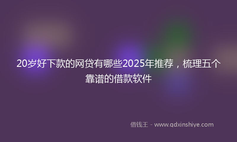 20岁好下款的网贷有哪些2025年推荐，梳理五个靠谱的借款软件