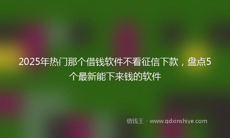 2025年热门那个借钱软件不看征信下款，盘点5个最新能下来钱的软件