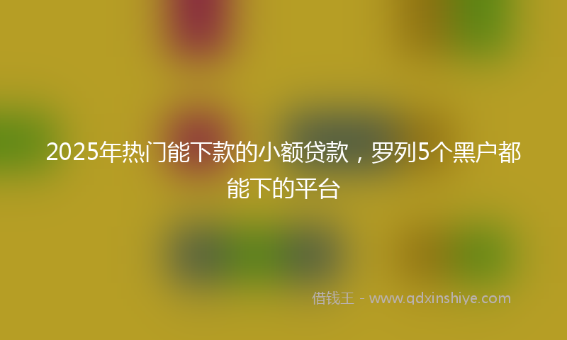 2025年热门能下款的小额贷款，罗列5个黑户都能下的平台